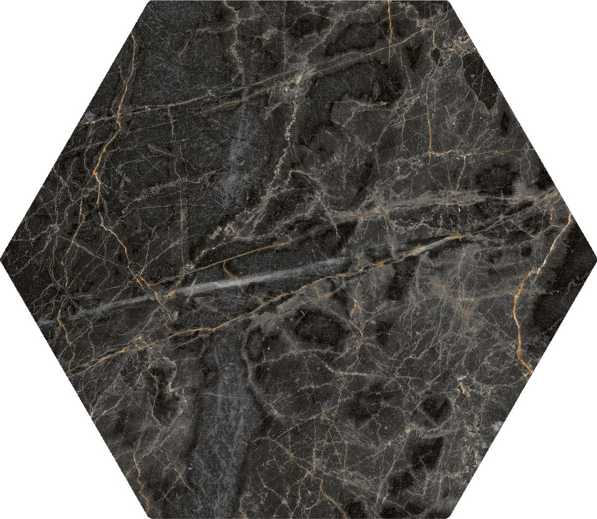 2024003-Marquina1.jpg